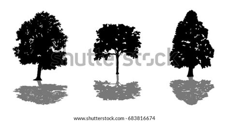 Tree Set Black Silhouettes Shadow Vector Stock Vector Royalty Free