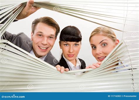 Co Workers In Office Stock Photography Image 11716302