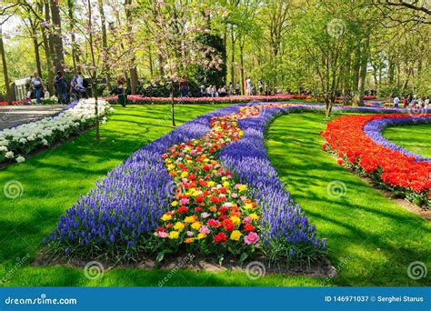 Flower Beds Of Keukenhof Gardens In Lisse Netherlands Editorial