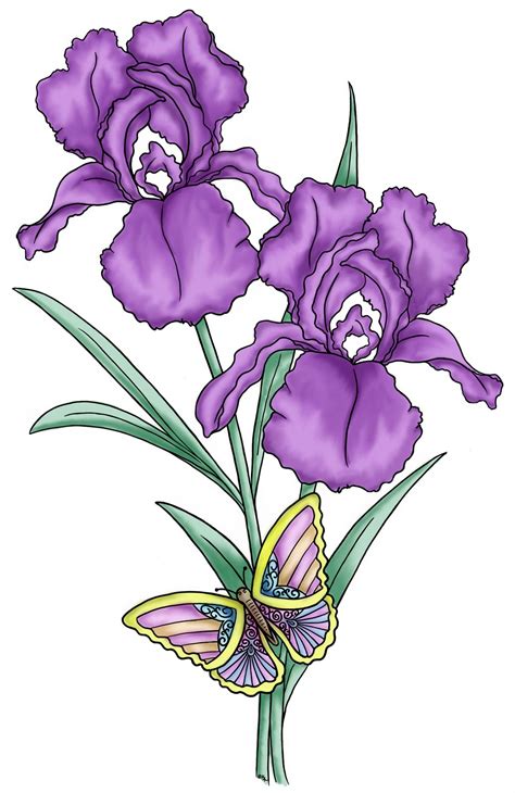 Purple Iris Flower Clip Art Cliparts