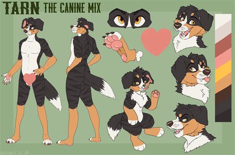 Detailed Fursona Reference Sheet Fursuit Reference Character Etsy
