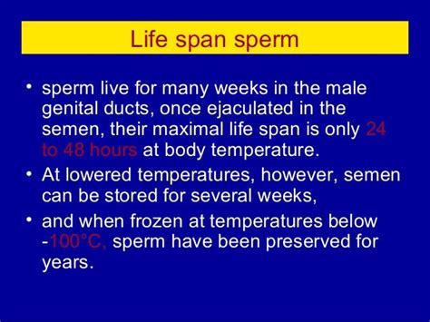 Life Span Of Sperm In Womans Body