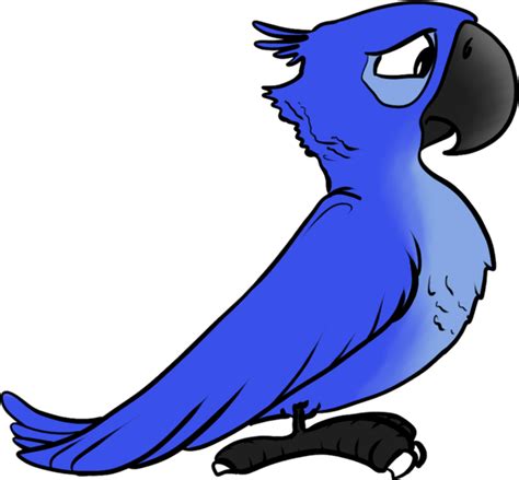 Ritaglio Di Rio Bird Png Png All