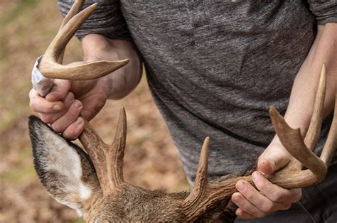 How To Hunt Deer With A Bow On Less Than One Acre Of Land Fight For