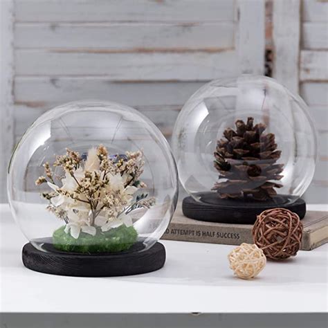 Myt 6 Inch Clear Glass Terrarium And Keepsake Display Globe Cloche With Black Stain Wood Base