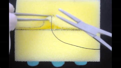 Suturing Technique Simple Interrupted Sutures Youtube