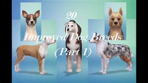 20 Improved Dog Breeds Part 1 Sims 4 Youtube