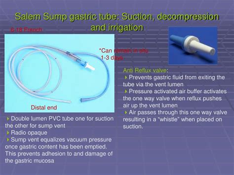 Ppt Gastric Tube Placement Powerpoint Presentation Id6624984