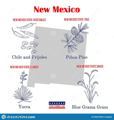 New Mexico Set Of Usa Official State Symbols Stock Vector