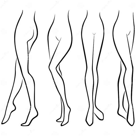 Set Of Lower Parts Of Slim Female Body Stock Vector Illustration Of