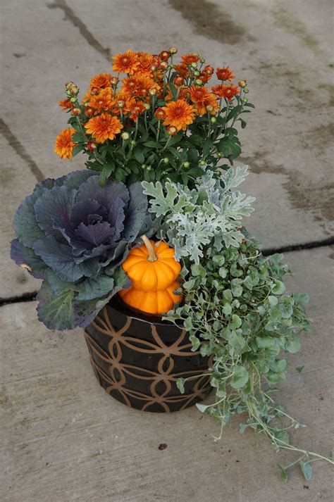 Fall Patio Pots With Pumpkins Fall Potted Plants Fall Container