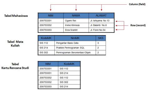 Implikasi untuk penerapannya, yaitu efek positif dan negatif serta penjelasannya. Cara Membuat Databases Menggunakan CMD || Belajar Coding ...