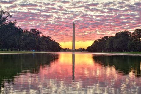 Sunrise At The Reflecting Pool In Washington