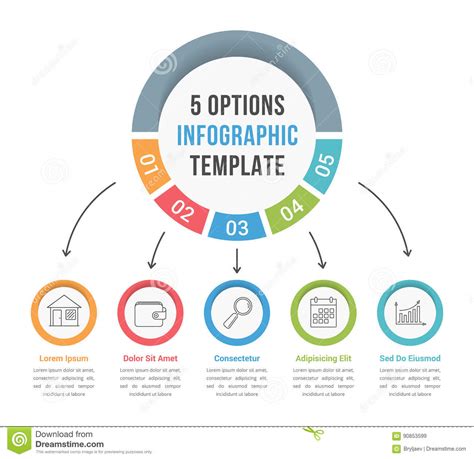 5 Options Infographic Template Stock Vector Illustration Of Diagram