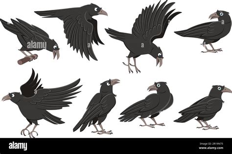 Cartoon Crows Wild Black Birds Raven Character In Different Poses And