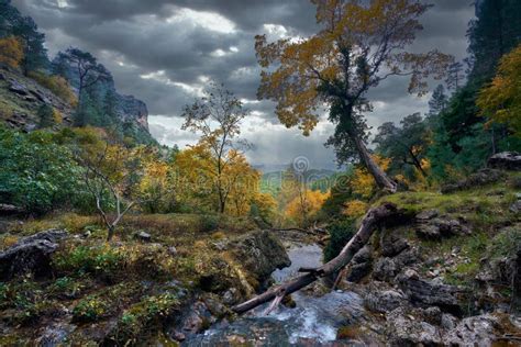 Dramatic Landscape That Highlights A Large Tree Stock Photo Image Of