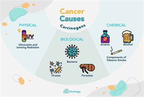 Cancer 101 Signs Causes Treatment And Prevention Homage