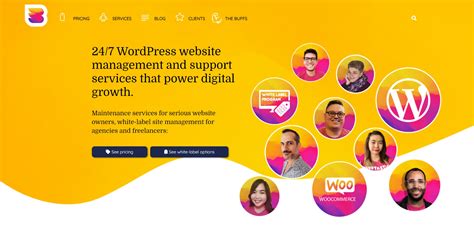 15 Best Wordpress Maintenance Services For Your Website