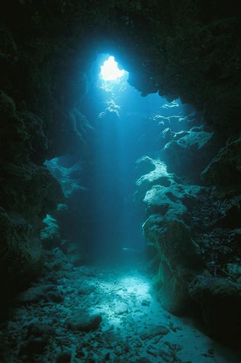 A Beam Of Sunlight Illuminates An By Raul Touzon In 2019 Underwater