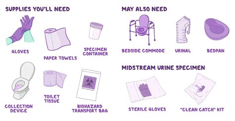 Collecting A Urine Specimen Clinical Skills Notes Osmosis