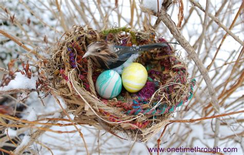 How To Make A Stunning Birds Nest Craft One Time Through