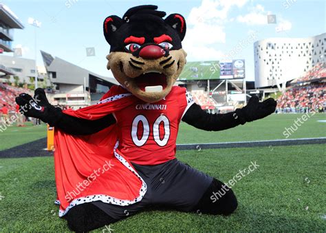 Bearcat Mascot University Cincinnati During Ncaa Editorial Stock Photo Stock Image Shutterstock