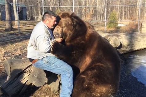 Now Thats A Bear Hug Man Embraces Hulking Bear Giant Dogs Bear