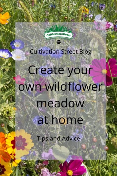 Creating A Wildflower Meadow Cultivation Street