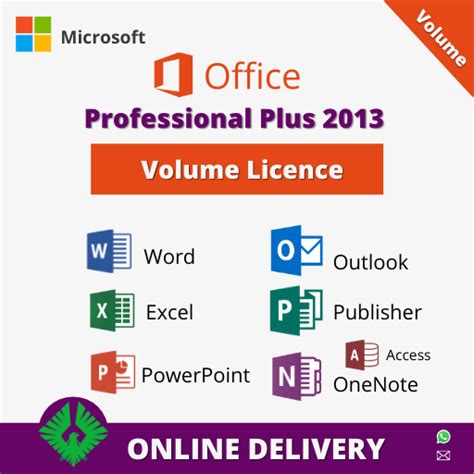 Microsoft Office 2013 Professional Plus Pengtech