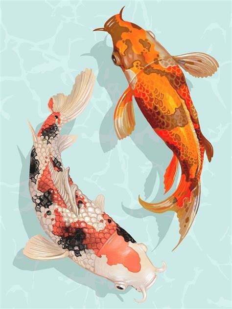Two Japanese Koi Fish Swimming Premium Image By In 2020 Koi Art