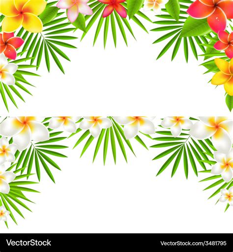 Tropical Flower Border Design