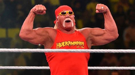 Hulk Hogan Wanted To Turn Heel Against Ultimate Warrior Suggests He