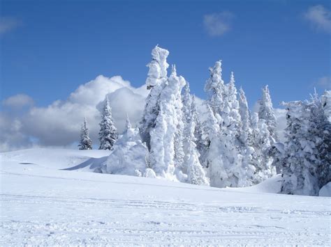 Free Images Tree Snow Winter Mountain Range Ice Weather Frozen