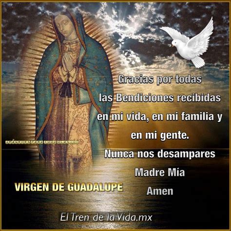 Photo 252020141210191121 20482048 Frases Virgen De Guadalupe