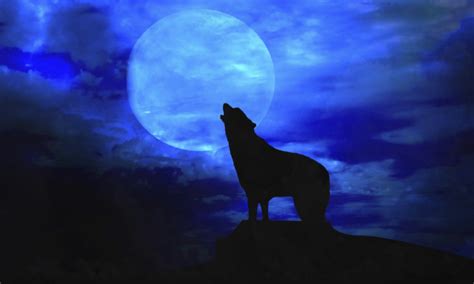 Full Wolf Moon 2017 Meaning And Where To Watch It Live Online Ibtimes Uk