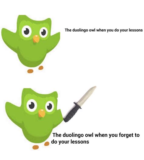 Language Hilarious Duolingo Phrases 2 Adventures Of Steffi
