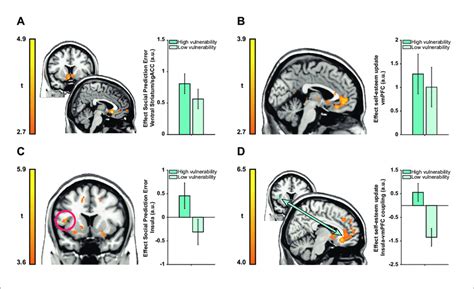 Neuroimaging Results Plotted Separately For High And Low Interpersonal