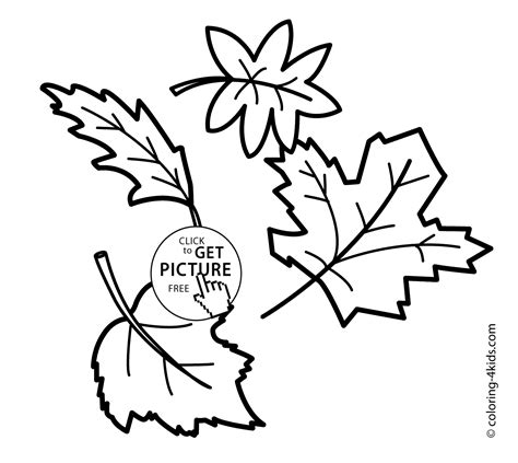 Autumn coloring pages leaves for kids, seasons coloring pages printable