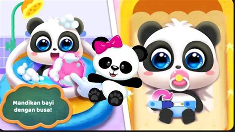 Bayi Panda Mengurus Bayi Panda Kiki Mandi Dan Bermain Youtube