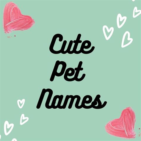 Couples have been making up sickeningly sweet names for one. Cute Couple Endearments / This Is The Most Popular Couple Pet Name In Utah Deseret News : Cutie ...