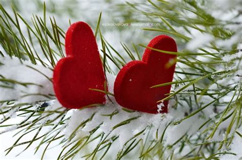 Two Hearts Snow Corazones Winter Love Hd Wallpaper Peakpx