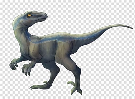 Jurassic Park Velociraptor Cartoon