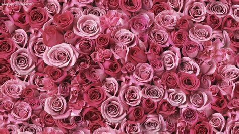 Get high quality floral background for your phone, desktop or website hd to 4k image quality no attribution required download for free! 78+ Rose Gold Wallpapers on WallpaperPlay