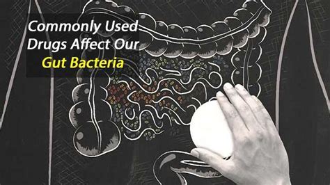 Commonly Used Drugs Affect Our Gut Bacteria Technology Networks