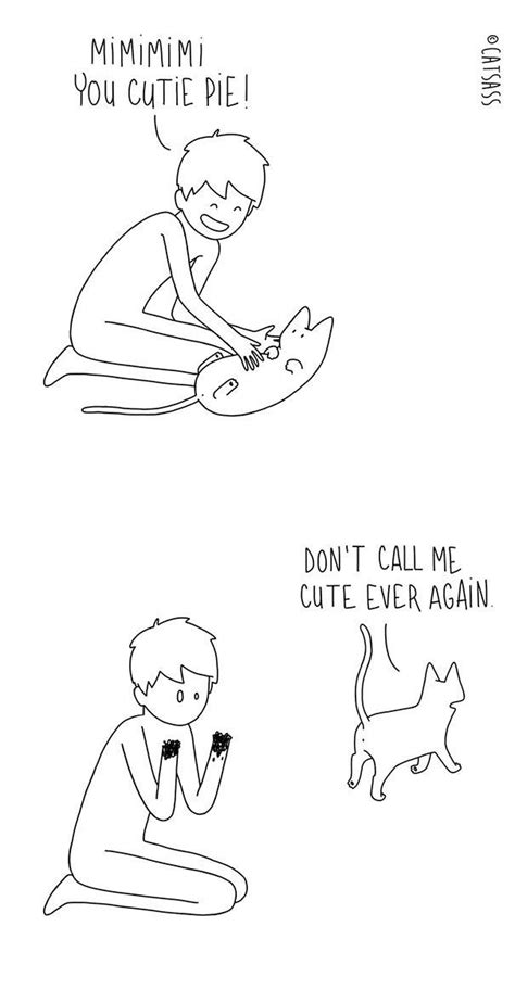 These Hilarious Cartoons Absolutely Nail What It S Like To Live With A Cat Siamese Cats Cats