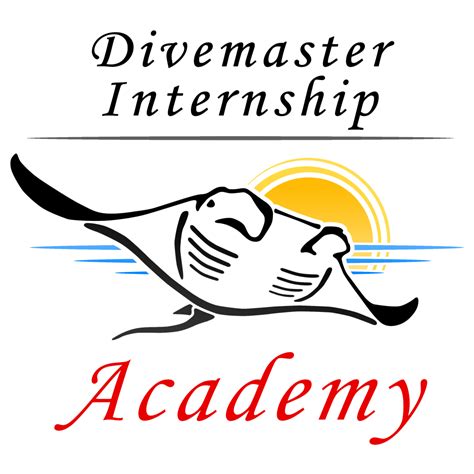 Padi Divemaster Internship In The Canary Islands Diving Jobs Scuba
