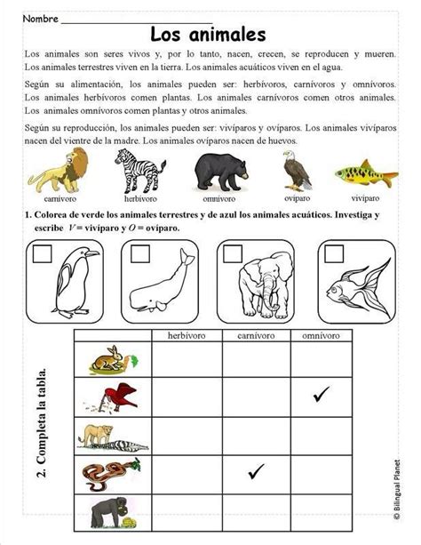 Interactivo De Animales Para Preescolar Cuadernillo De Crucigramas De