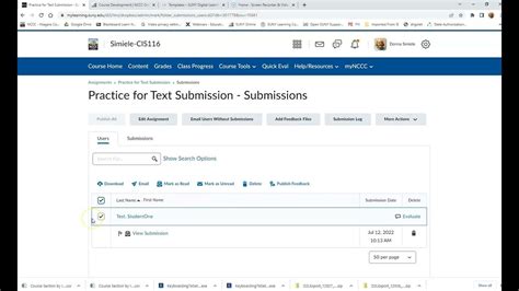 Using View Submission in Assignments in Brightspace - YouTube