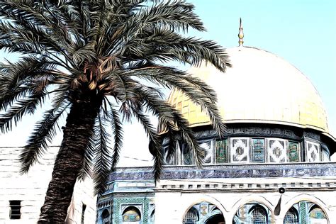 Aqsa Palm Tree Photograph By Munir Alawi Fine Art America