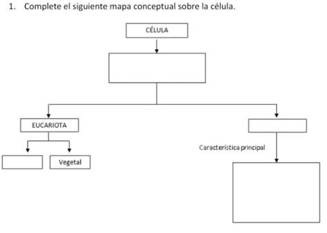 Complete El Siguiente Mapa Conceptual Sobre La C Lula Brainly Lat
